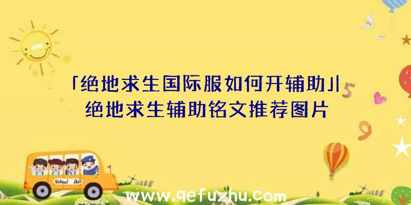 「绝地求生国际服如何开辅助」|绝地求生辅助铭文推荐图片